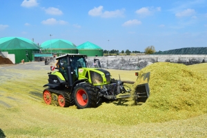 Maissaat und Grassaat / Grasernte beim Lohnunternehmen STEYNS